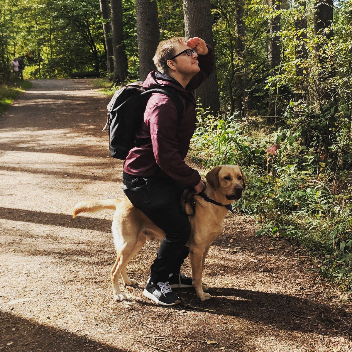SuperBuddyYT's tweet photo. Neues Profilbild. Ich nenne es: Reiter im Wald ( mit @EpwScotty ) https://t.co/dRYZHRT62S