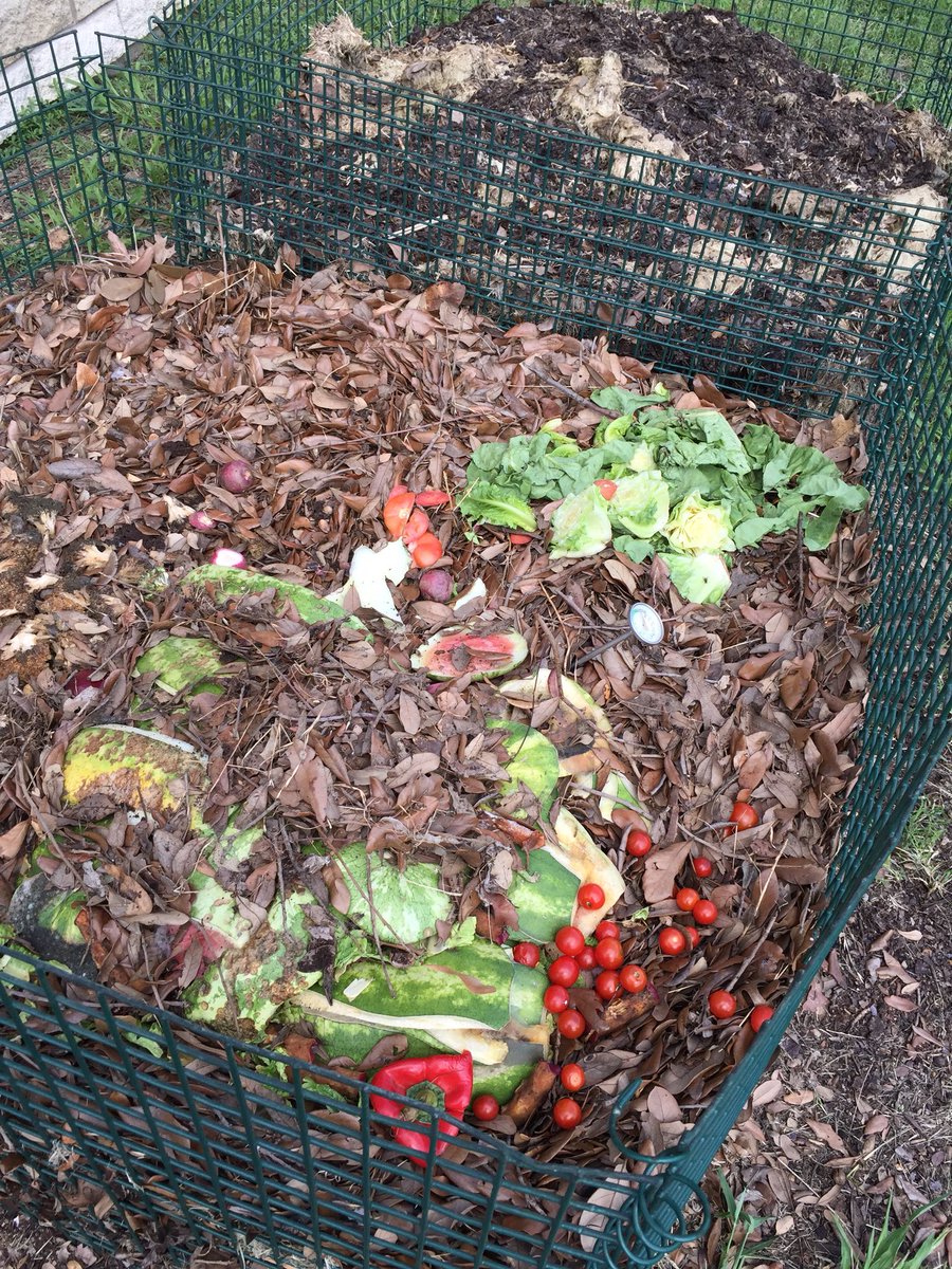 BrownDCE's tweet photo. Thank you @CISDNutrition for putting the vegetable and fruit scraps into our compost bins! @DCEtrailblazers https://t.co/AxpljcRVRI