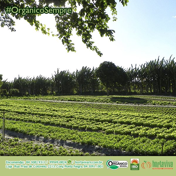 Hortavivarn's tweet photo. Compartilhar nossa horta com vocês é sempre uma alegria! #Foto #Horta #VidaSaudável #Natureza #Campo #Orgânico #Certificação #Legumes #Frutas #Hortaliças https://t.co/io8Ll98rRF