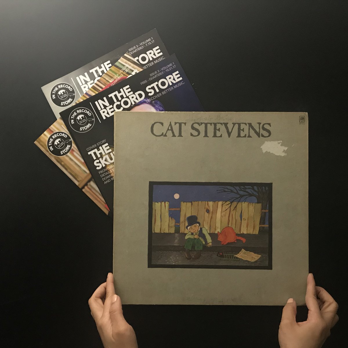 In The Record Store tweet media