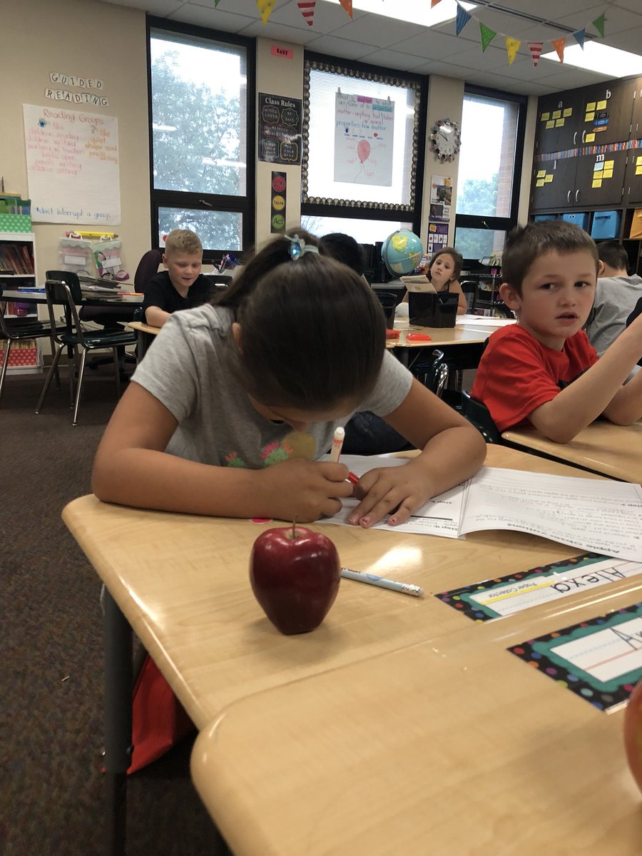 MrsIsomsFriends's tweet image. Making observations about our apples to see if we can pick them out of a line up. 🍏🍎#applescience