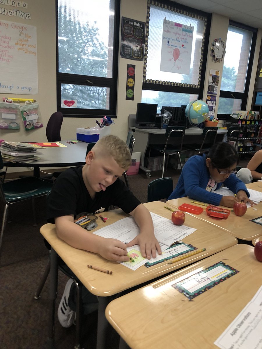 MrsIsomsFriends's tweet image. Making observations about our apples to see if we can pick them out of a line up. 🍏🍎#applescience