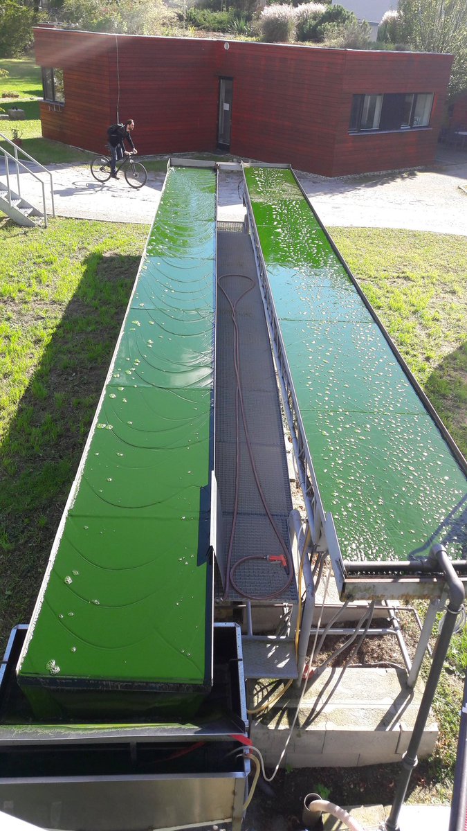 Nella_Roccuzzo's tweet image. Visit to the #Algatech centre in #Trebon. Raceway ponds and thin layer cascades cultivation systems