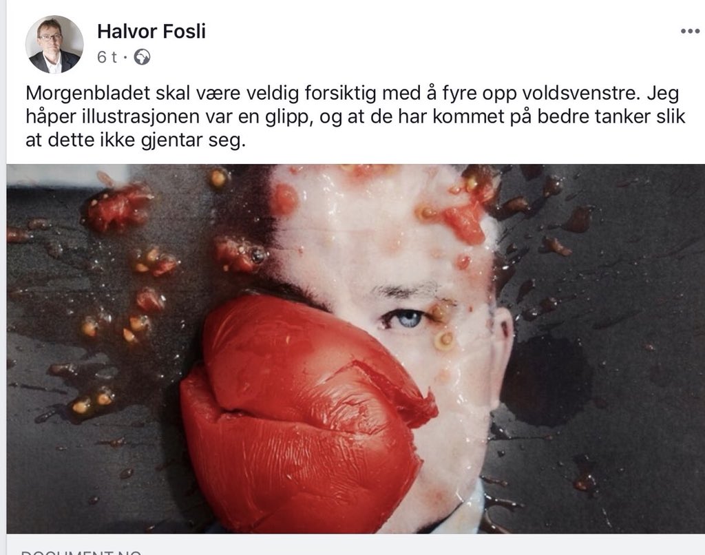 Voldshøyre: bomber blitzhuset, dreper Benjamin Hermansen, begår moderne tids største terrorangep i Norge. 

Voldsvenstre: tegner en tomat på en fyr som driver en hatblogg.