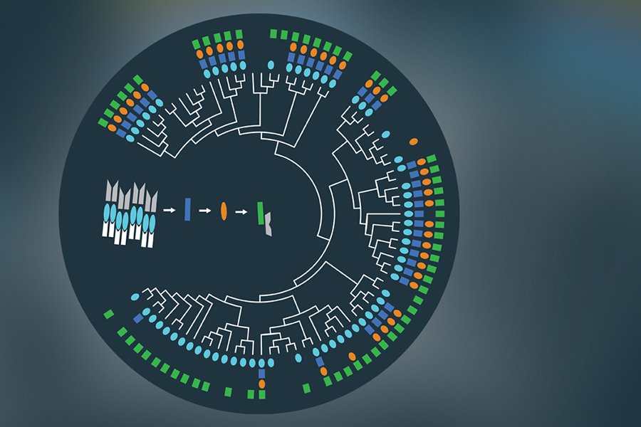 RT <a href="/CmuScience/">CMU Mellon College of Science</a>: Been using the same password for years? Don't feel bad, <a href="/CMU_Bio/">CMU Biological Sciences</a> found that bacteria has been using the same password to make spores for 2.7 billion years: ow.ly/AKY530lY71x <a href="/PLOSGenetics/">PLOS Genetics</a>