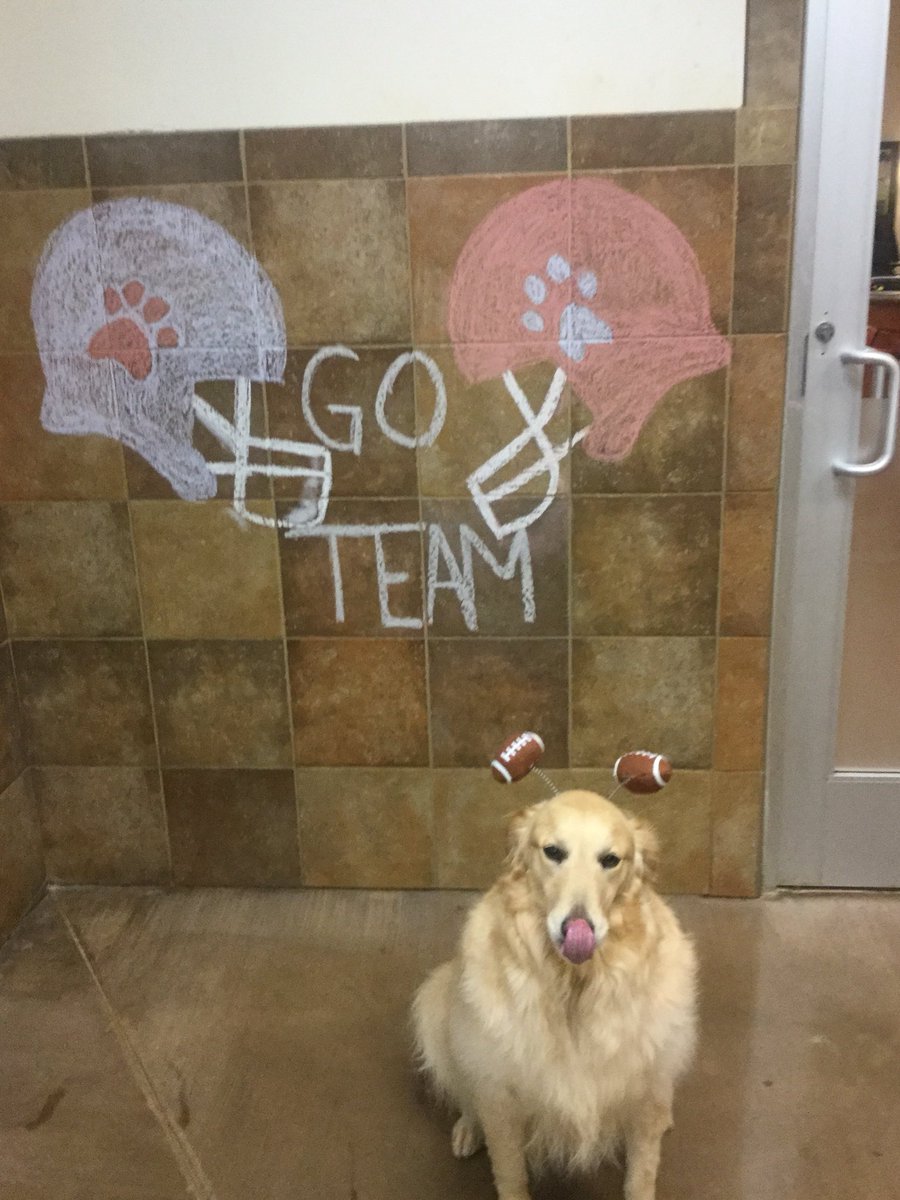 hotelsINDY's tweet photo. Bella wants your dog to come to our Tailgating Pawty for Day Campers tomorrow. Call PetSmart today to make your reservation! 1-888-755-PETS #DOGPARTY #tailgatingdogs #dogdaycamp https://t.co/BVjSoGaaJK