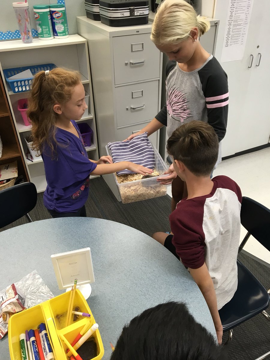 TeamMrsMoser's tweet photo. We had a special visitor in class today to help us observe animal structures and adaptations. #hedgehogs #animaladaptations https://t.co/CyZ9px3RNN