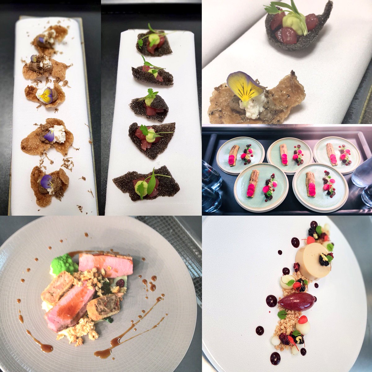 lauren shah tweet media