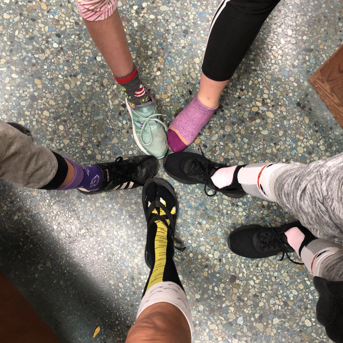 MrsAbitz's tweet photo. Crazy sock day! #SennettShines https://t.co/FUUr52cxRC