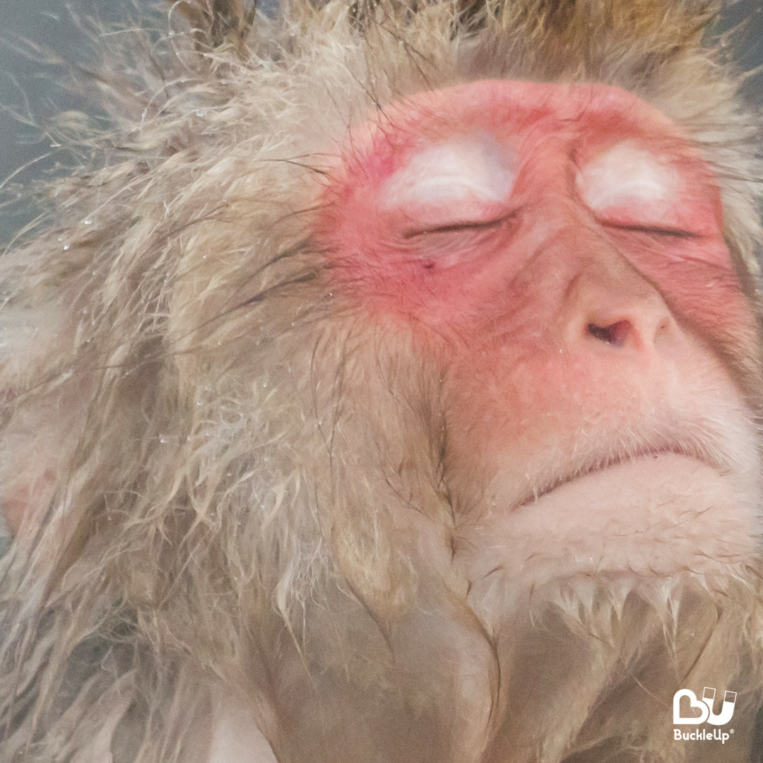 WeBuckleUp's tweet photo. #dreaming of #climbing OR #spa #grooming
#5050 #cheeky #naughty #mysteryphotos pt.7 
. 
. 
. 
. 
#buckleup #onlinedating #offlinedating #irldating #datingapp #dating #relationships #datingstories #datingiscomplicated #datingishard #datingiseasy #datingmemes #thisorthat https://t.co/00t4REXFge