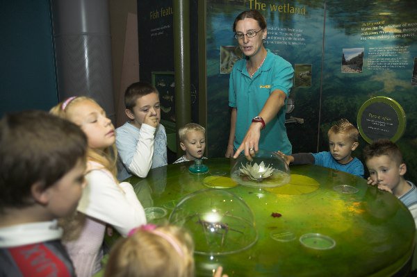 SchoolTripsUK's tweet photo. Education @ConkersCentre is based around highly interactive indoor and outdoor experiences, offering a unique mix of Ranger-led and Teacher-led activities, designed to cover the requirements of Key Stages 1 to 3 - https://t.co/NPjbh2Hbdi https://t.co/Qrvsagtb9z
