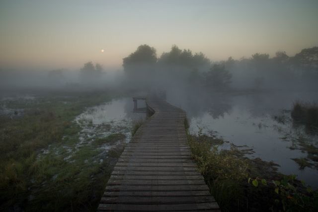 Full Moon...
by Ronald Jansen
