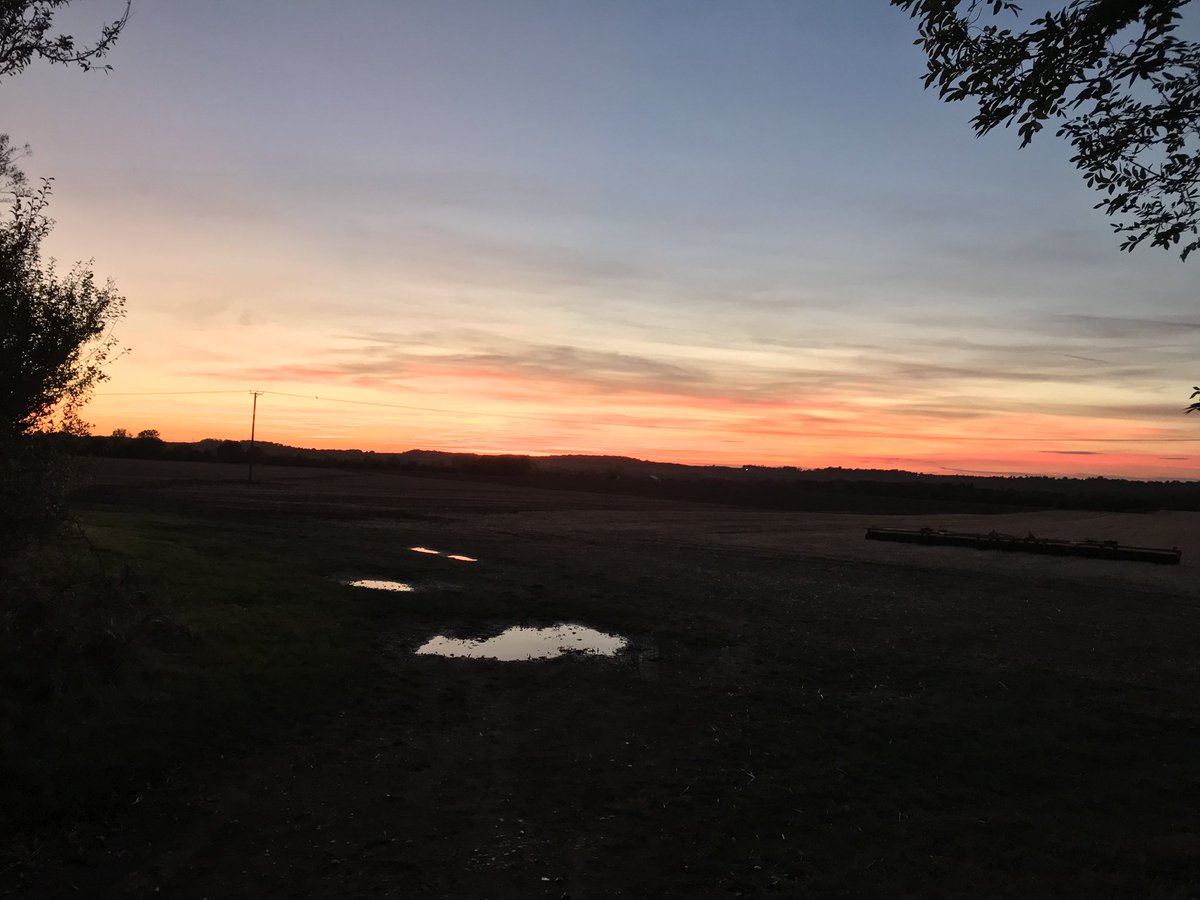 KerryLarge's tweet image. Autumn is here. Sunset run tonight. #runmotivation #paratriathlon #Autumn