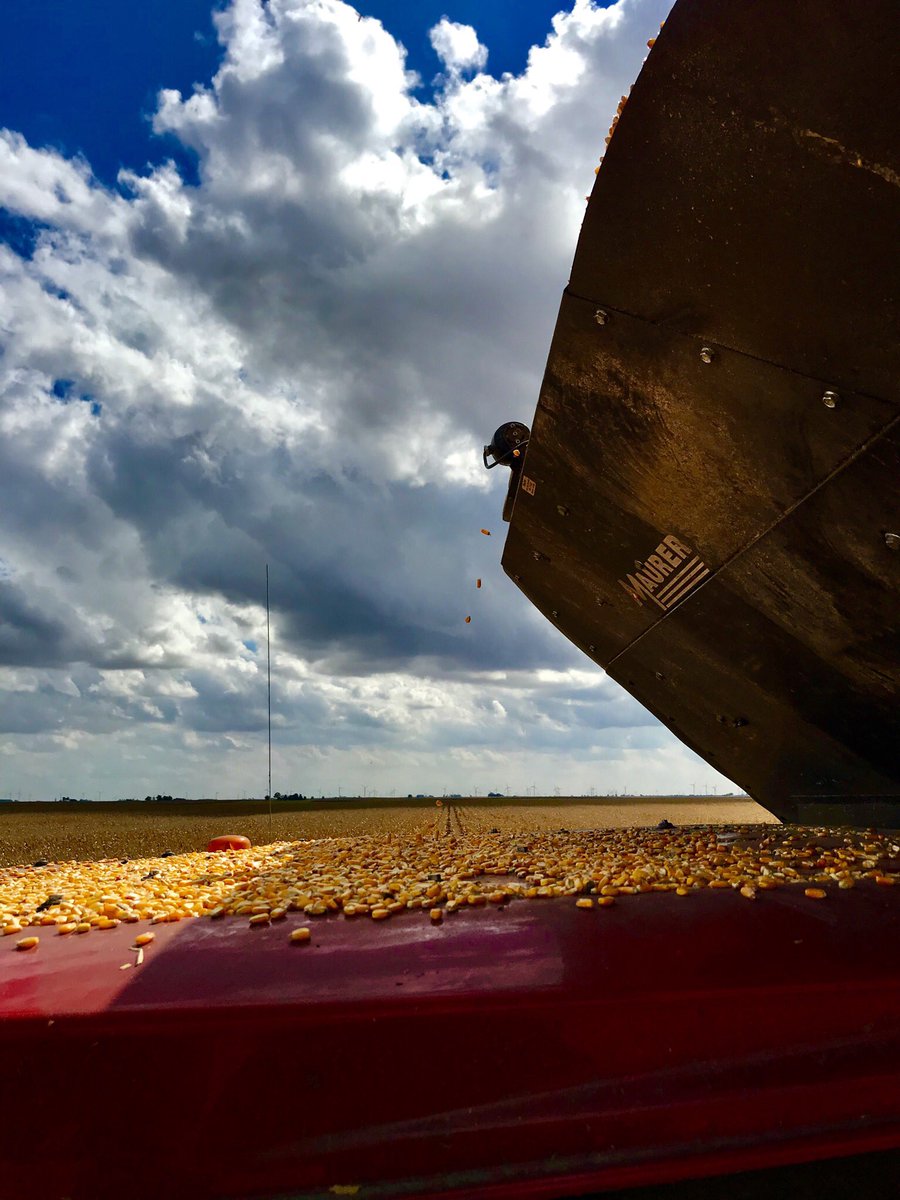 Gage Skelton (skelton_farms) Twitter