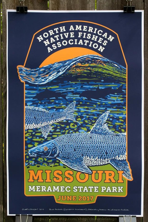 moxostoma's tweet photo. Give your walls a gift of fish prints and/or various colorful weirdness. I just reduced almost all prices. Please take a look: https://t.co/JUuQBUSUvk #trout #fishing #psychedelic https://t.co/QqEmORnLvx
