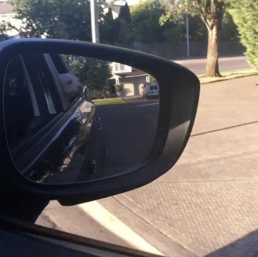 CheapSubscriber's tweet image. I saved big at the pump thanks to #KrogerCo!  #FuelPointsForDays #Ad #MyMagazineSharing mymagazinesharing.us