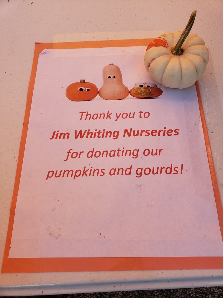 malissajnelson's tweet photo. Pumpkin and gourd decorating! @Bamber_Valley https://t.co/sFVoptpsjV
