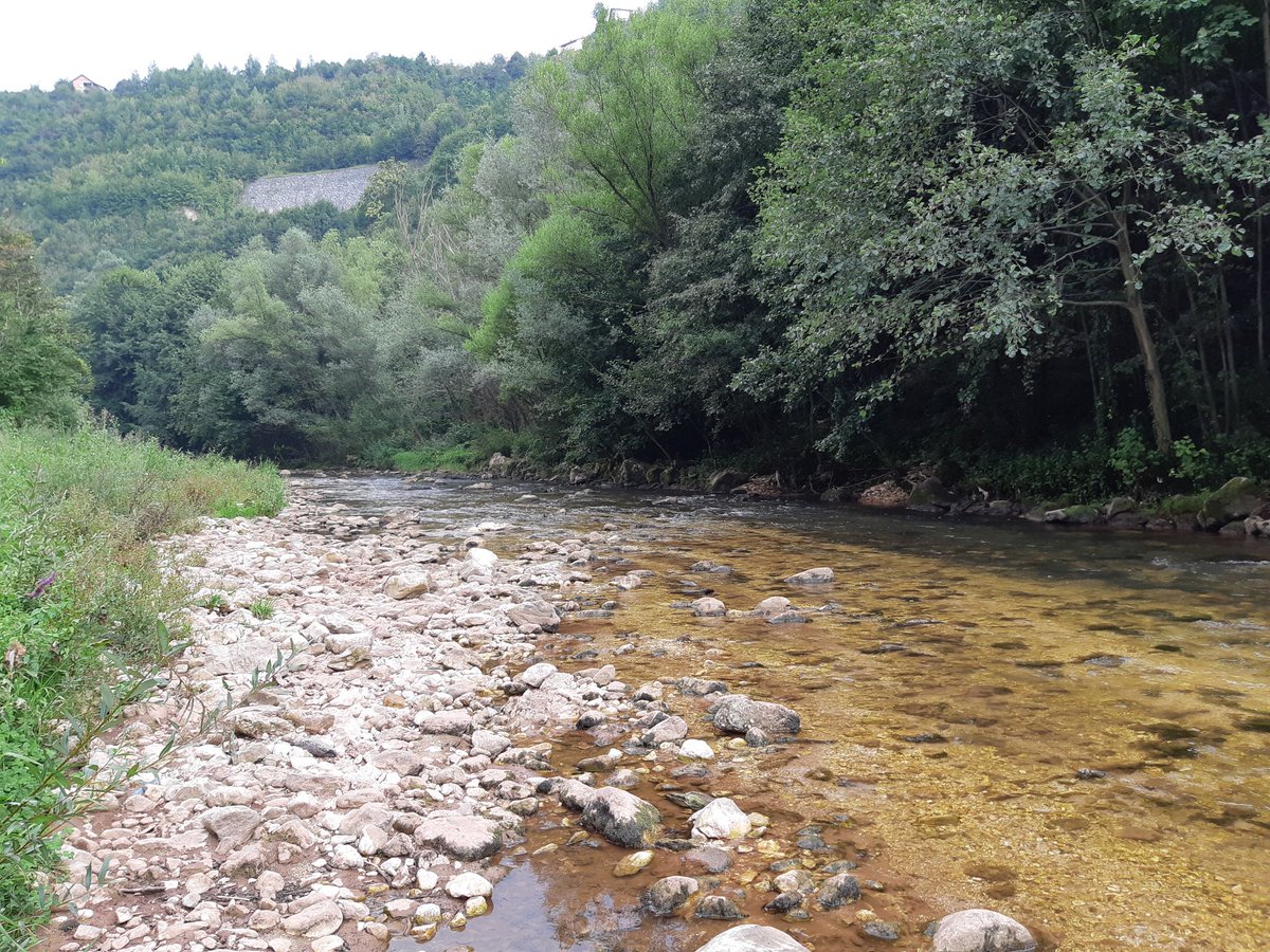 Trout heaven 😍