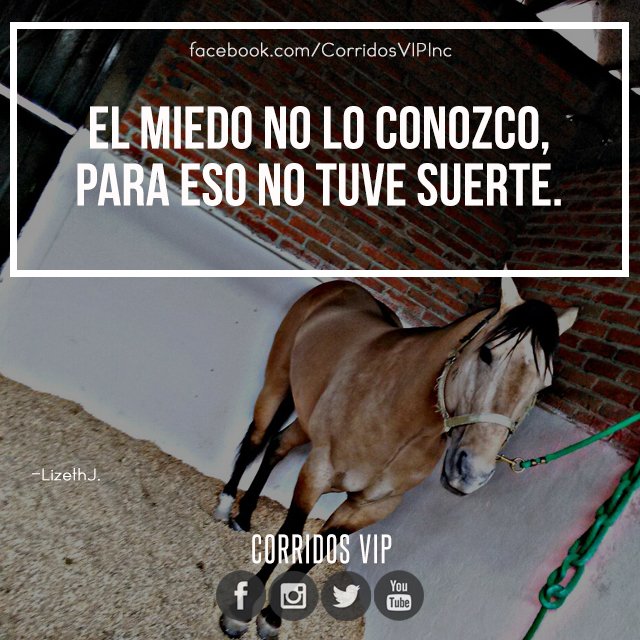 CorridosVIP's tweet photo. 😌
. . .

#corridosvip #teamcorridosvip #corridos #borrachos #tkt #fiesta #peda #ranchero #carrerasdecaballos #cuaco #mexico #regional #sinaloa #sonora #amigos #corridosybanda #corridosgram #corridoschingones #norteño #mexican #mexicanmusic #twitterco… https://t.co/aQf6iYbdZu https://t.co/CyyGRXwCHk