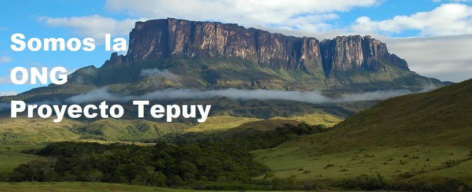 ONG Proyecto Tepuy tweet media