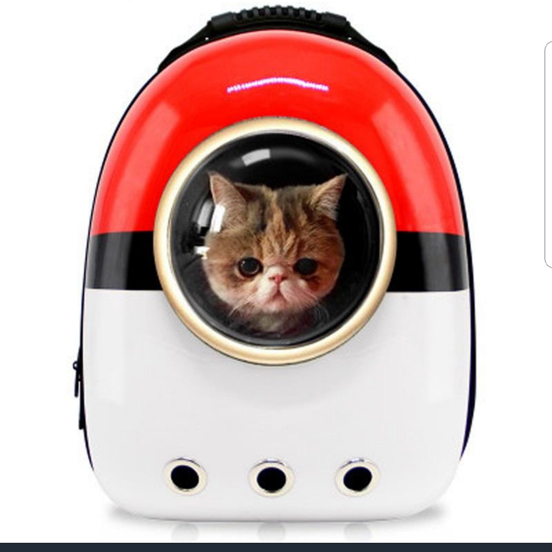 Wags4You2's tweet photo. Catch them all with this awesome carrier! Link in bio! ❤like 👉follow 💬comment 

#animallover #carrier #travel #adorable #animals #cats #smallpets #rabbit #bunny #petlover #petlovers #animallovers  #cats #cat #catlovers #kitten #kitty #tagafriend #tagsomeone #cute #🐱 #🐾 https://t.co/zSTaiuIuSJ