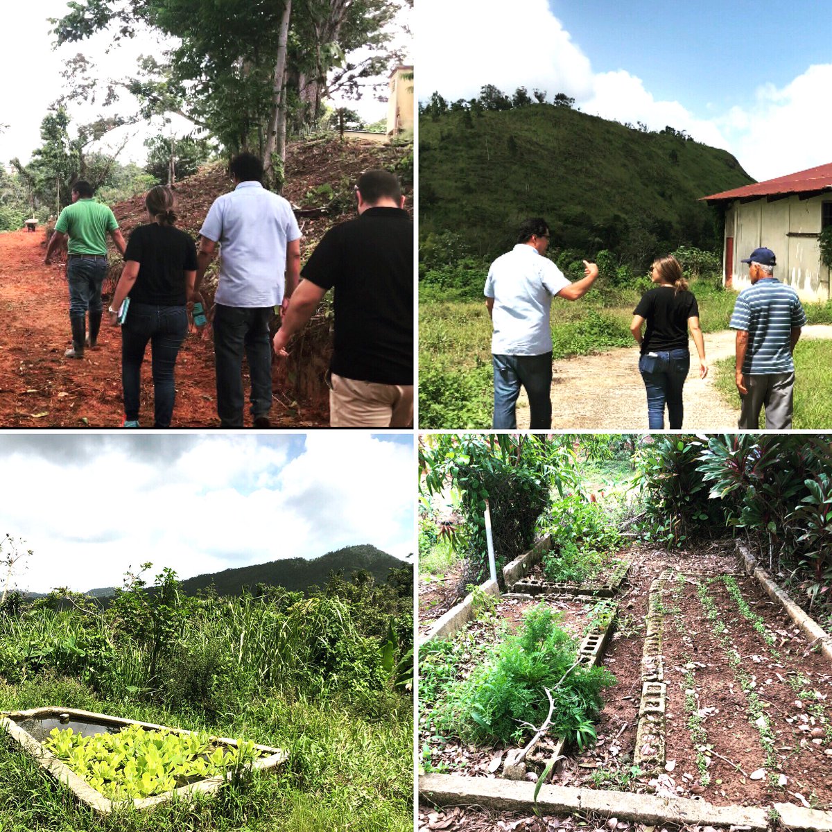 ConPRmetidos's tweet photo. Learning about efforts that inspire us! Today we met with community leaders in Utuado that are transforming their home into a global model of community driven success. #sneakpeek #doers #CommittedtoPR #ConPRmetidos https://t.co/Aj6ueJILHK