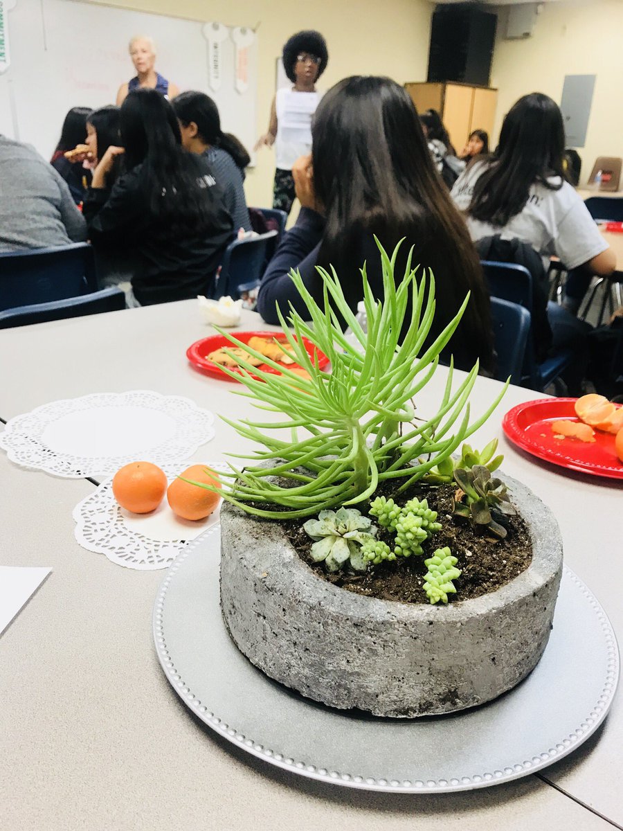 Lulu Fernandez, M.Ed. tweet media