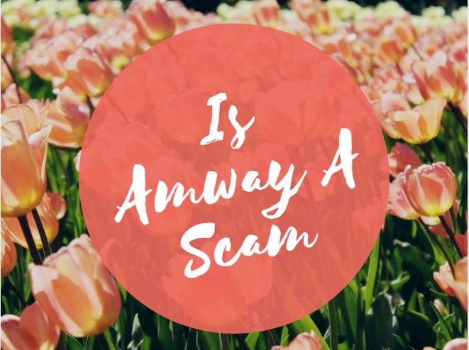 Is Amway a Scam – the Way to Success or Poverty
Scam or not, Amway is one of the longest surviving MLMs. Is it a scam? Amway products are good so if it is not a scam, can you make good money, now?

yougetthemoney.com/is-amway-a-sca…
