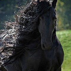 馬場竜也 From M G B C Pa Twitter フレデリックかっこよすぎる 大将軍の馬 新三国志 世界一イケメン 馬 貴方なら誰と組ませる やっぱ関羽かなー ちょっと戻って項羽か 馬場竜也 From M G B C Pa Twitter フレデリックかっこよすぎる 大将軍の馬 新三国志 世界一イケメン 馬 貴方なら誰と組ませる やっぱ関羽かなー ちょっと戻って項羽か