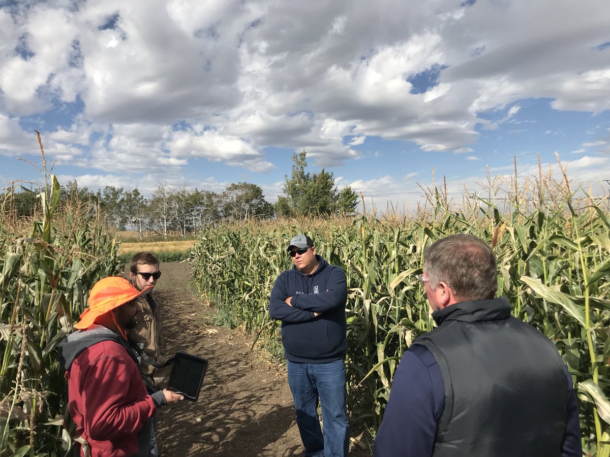 Dewy_AgTraits's tweet photo. Spend the last couple of days learning and witnessing where corn is going, showing the 130-150 bu/ac potential and early, the future is bright where early corn can go #70RM #earlycorn #areyouready https://t.co/Z7aOyezgPX