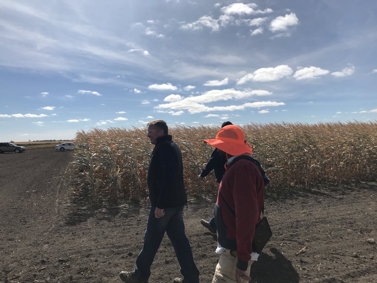 Dewy_AgTraits's tweet photo. Spend the last couple of days learning and witnessing where corn is going, showing the 130-150 bu/ac potential and early, the future is bright where early corn can go #70RM #earlycorn #areyouready https://t.co/Z7aOyezgPX