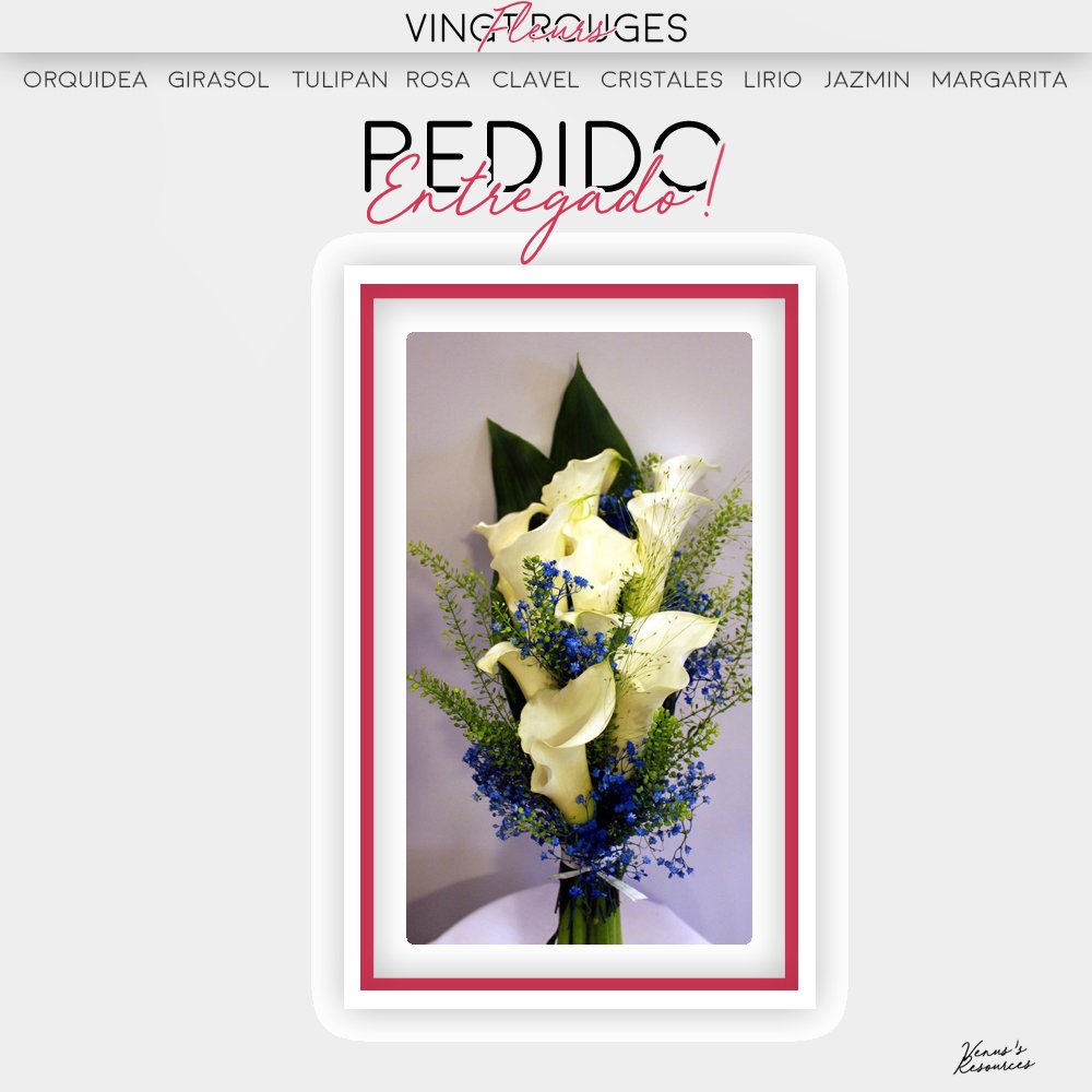 ❝Cher Asmodęus; @strxyxhexrt.❞

                                 Azazel te ha dejado un increíble ramo de calas y rosas blancas sólo para ti ¡esperamos que sea de su agrado!

                                         —VFR. 🌸