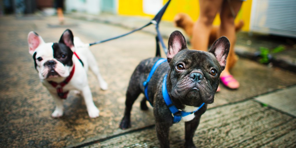 Tip: Oefen small talk tijdens het boodschappen doen of hond uitlaten. Het kan de eerste stap zijn tot nieuwe contacten! 

#komerbij #VIPvoorelkaar #eenzaamheid #sameninGilzeRijen