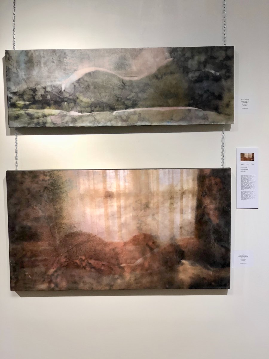 pennytreese's tweet photo. My latest work on display at the Robert Kent Galleries #firstfridayartwalk

#pennytreese #pennytreeseartist #encausticart #newwork #robertkentgalleries https://t.co/DrlnlyqHl8