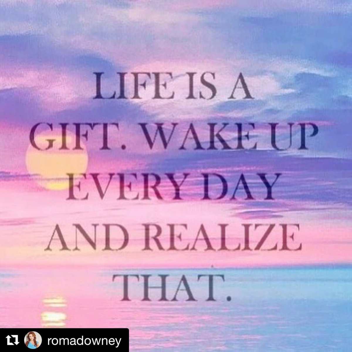 BellaMia (@bellami48013078) on Twitter photo 