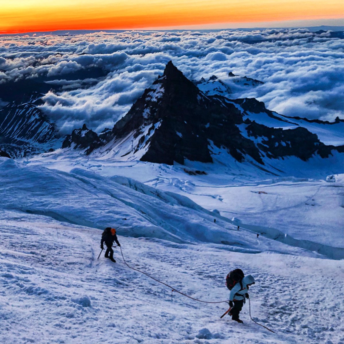 RMIExpeditions's tweet image. Our 2019 #MtRainier climb and seminar dates are live! If you&apos;ve been thinking about climbing #Rainier, make this the year. Dates are going quickly, so don&apos;t wait too long! Check out the website for dates and registration.

📸: Jordan Cargill

#professionalguides #50years
