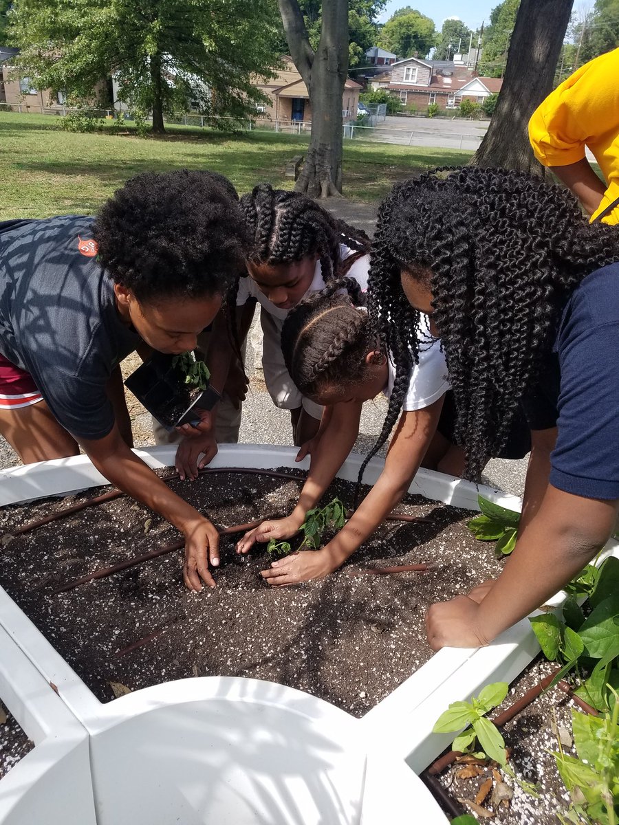MrsHumble3's tweet photo. Today was planting day..our students planted onions, beets, and arugula! @IBWAEagles @SCSK12Unified https://t.co/OVFOKPw0KJ