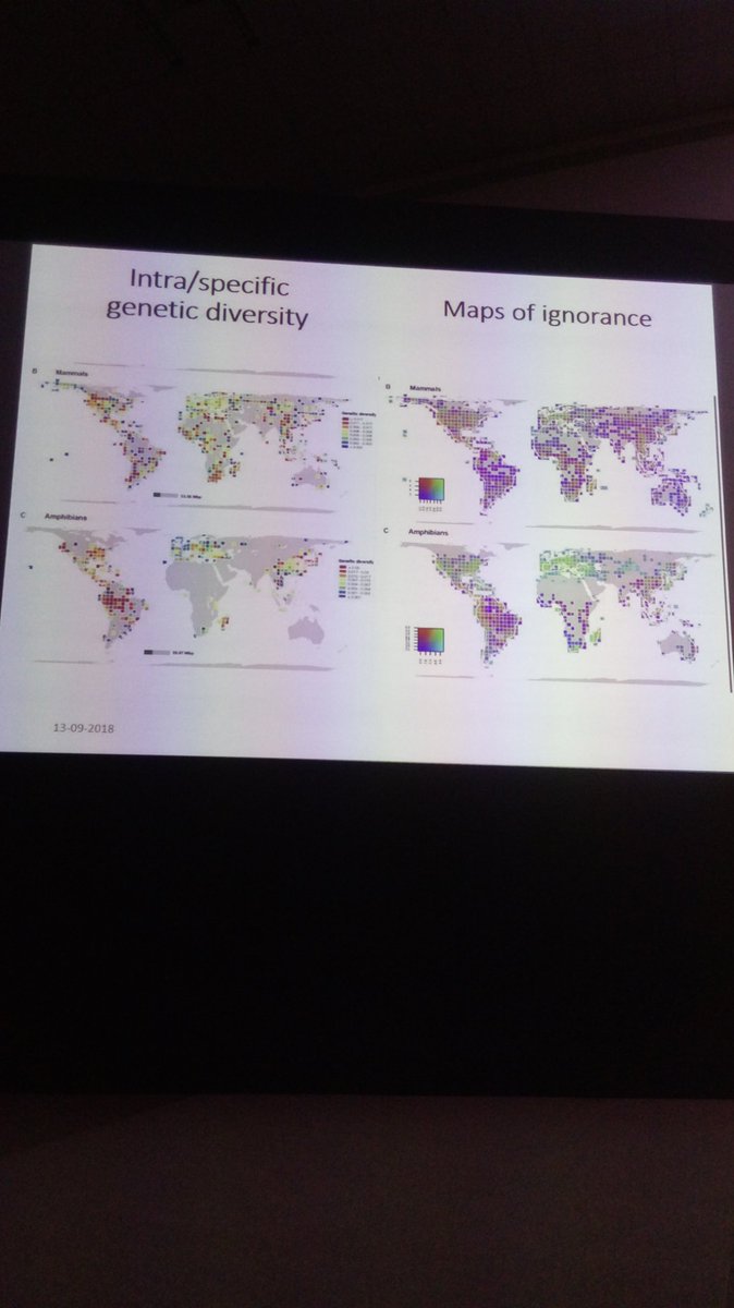 luchoao's tweet photo. David Nogués-Bravo sobre Macroecología y Genética en el International Congress of Genetics #Macrogenetics #Iguaçu https://t.co/V8UHv4teGL