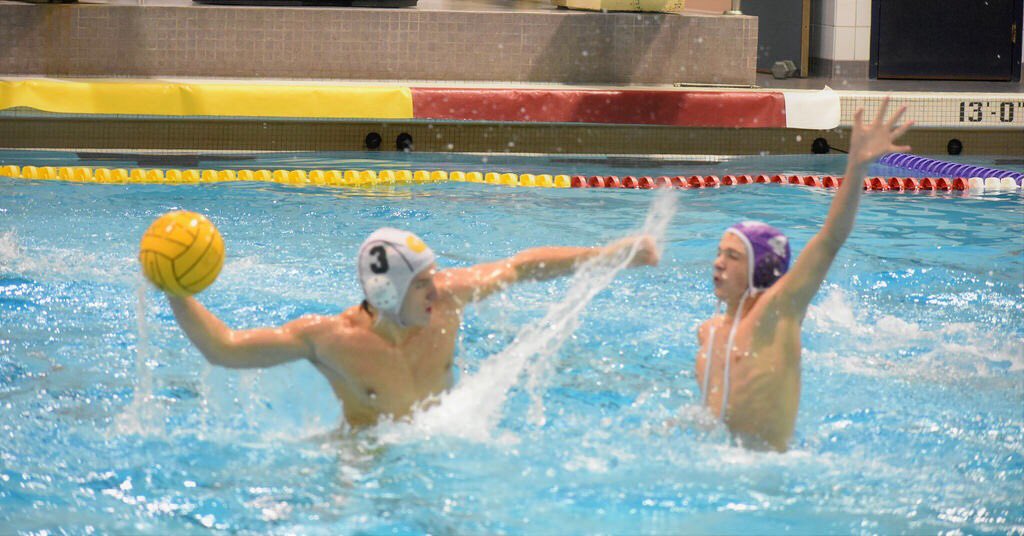 Groves Water Polo tweet media