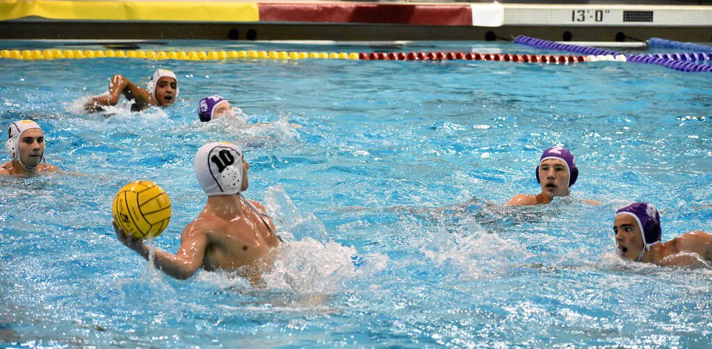 Groves Water Polo tweet media