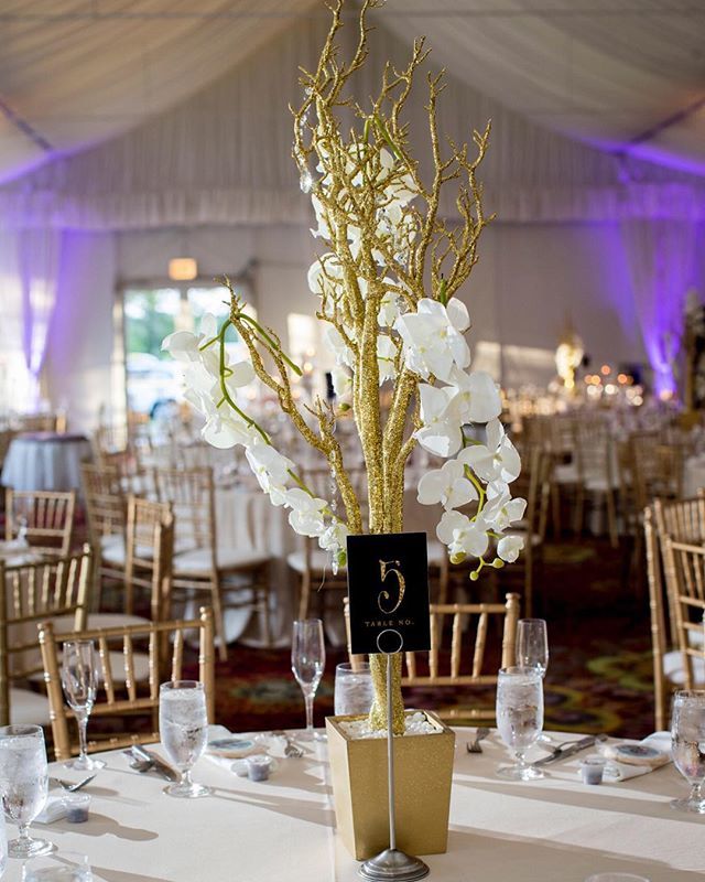 Events_By_C's tweet photo. Dressed up manzanita trees help keep your colors neutral while still giving your centerpieces the sparkle you love! ✨ Photo @dybalastudio Decor @elegancedecor_chicago https://t.co/S0A6H7MksI https://t.co/rnhfQyzvrp