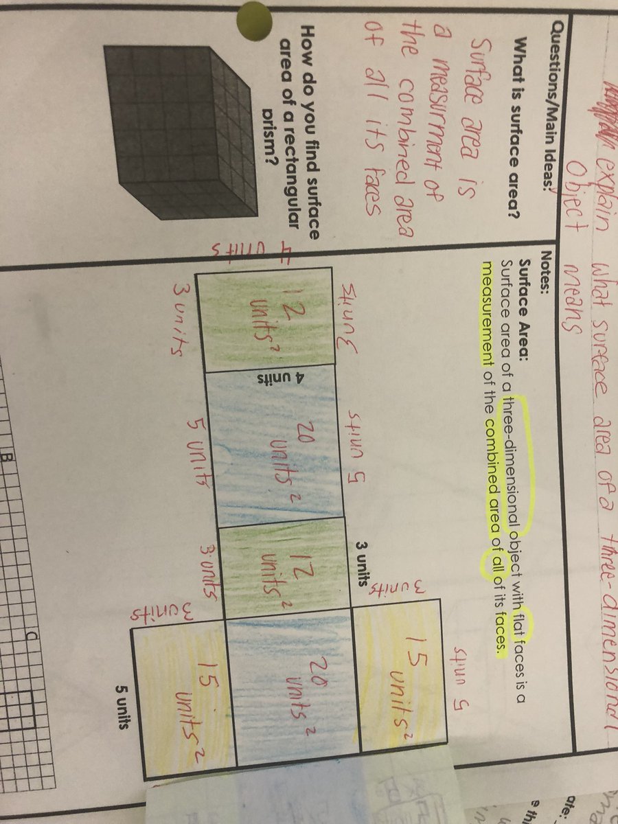 Abby Stout tweet media