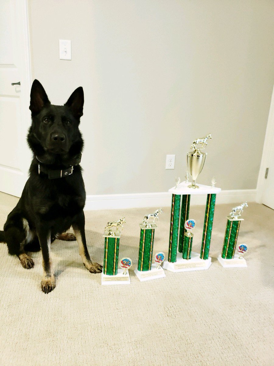 radko gudas tweet media