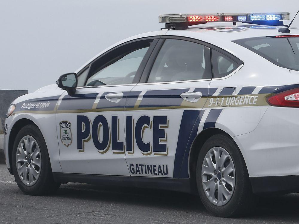 ottawasuncom's tweet photo. Following collision with vehicle, Gatineau police euthanize bear https://t.co/Br52IKzbQx https://t.co/5ZES94CfVt