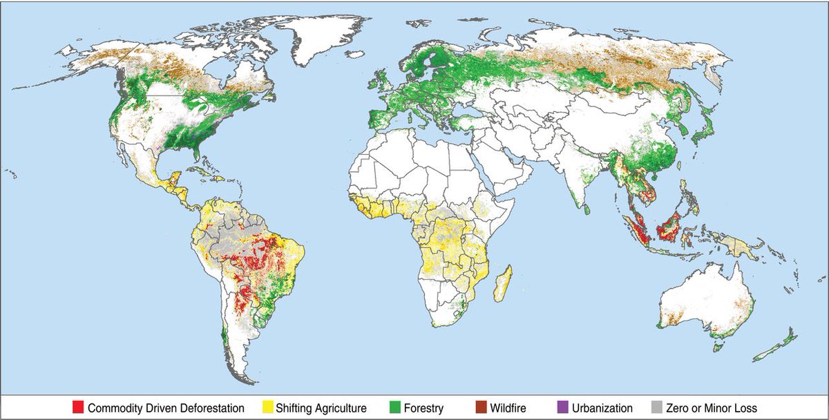 Shifting Cultivation World Map