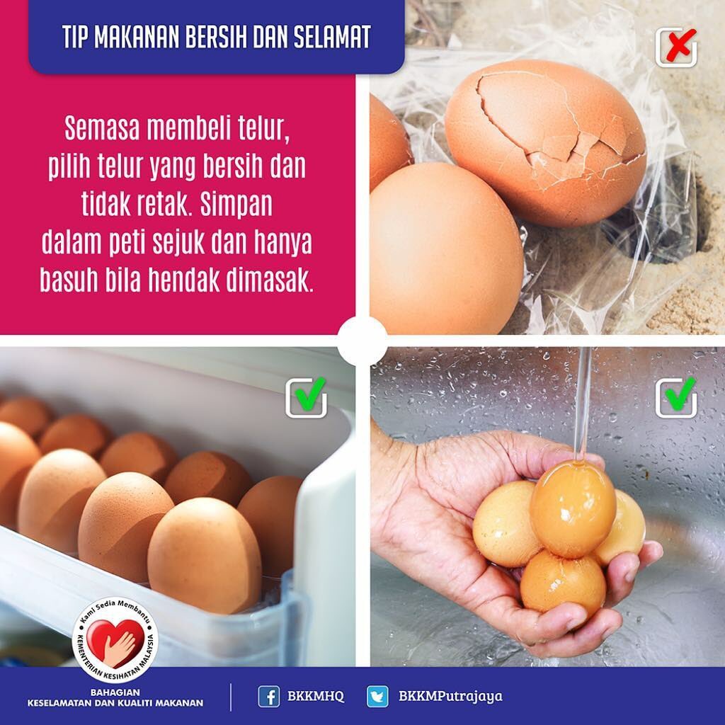 askfoodtech's tweet photo. Basuh telur hanya jika hendak dimasak. Membasuh telur awal hanya akan mengakibatkan protective layer pada telur hilang dan telur akan cepat rosak.
Credit to: @myfoodsquad @BKKMputrajaya #eggs #foodsafetyfirst #foodsafetytip #foodproduction #protectivelayer #labuan #malaysia https://t.co/QImV3Kk4Vh