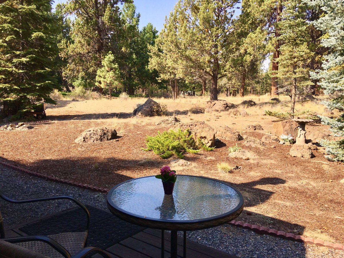 SunnyinBend's tweet photo. #bend #Oregon #homesforsale in #awbreybutte in #westbend beautiful park like setting in #rimrockwest on the #deschutesriver listed for $519K with no rear neighbors. #rivertrails #exprealty propertyinbend@gmail.com for more details.
#realestate #newtobend #Realtor #realtorlife https://t.co/flSaezsW9j