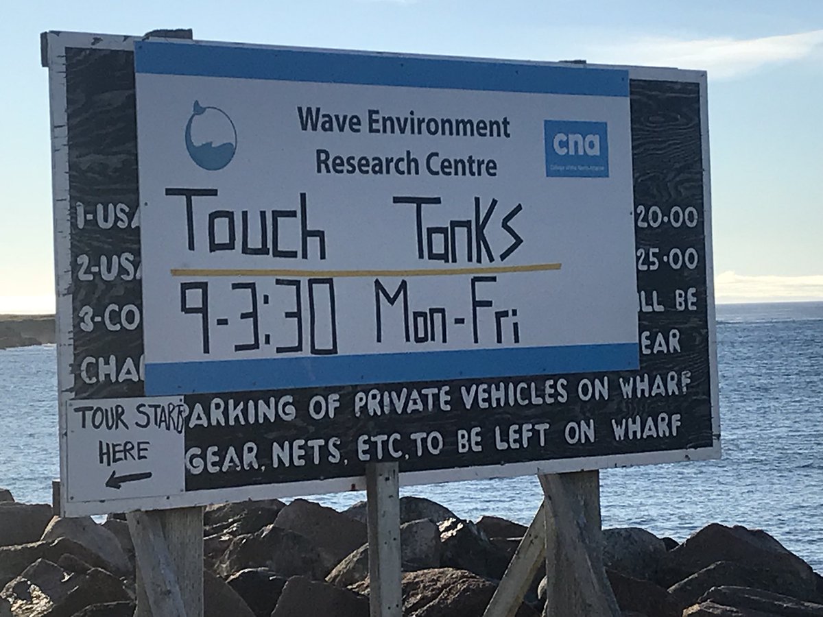 MitchelmoreGNP's tweet photo. A pleasure to join our @PremierofNL @MarkDBrowne &amp; @CarolAnneHaley to tour WERC in Lord’s Cove. There is opportunity for more R&amp;D at this CNA site to help business commercialize more R&amp;D and utilize innovative processes that wave energy can provide https://t.co/THZZT7SXHt
