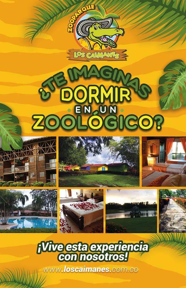 ZooLosCaimanes's tweet photo. ¿Te imaginas dormir en un zoológico? En el #ZooparqueLosCaimanes puedes vivir ésta experiencia y disfrutar de la naturaleza en compañía de tus familiares y amigos. ¡Reserva ya tu estadía!
📲 📲 Teléfonos: (+57) 316 2416799 – 310 5031070 https://t.co/Mru1lSy96I https://t.co/6L2Fyy2YaD