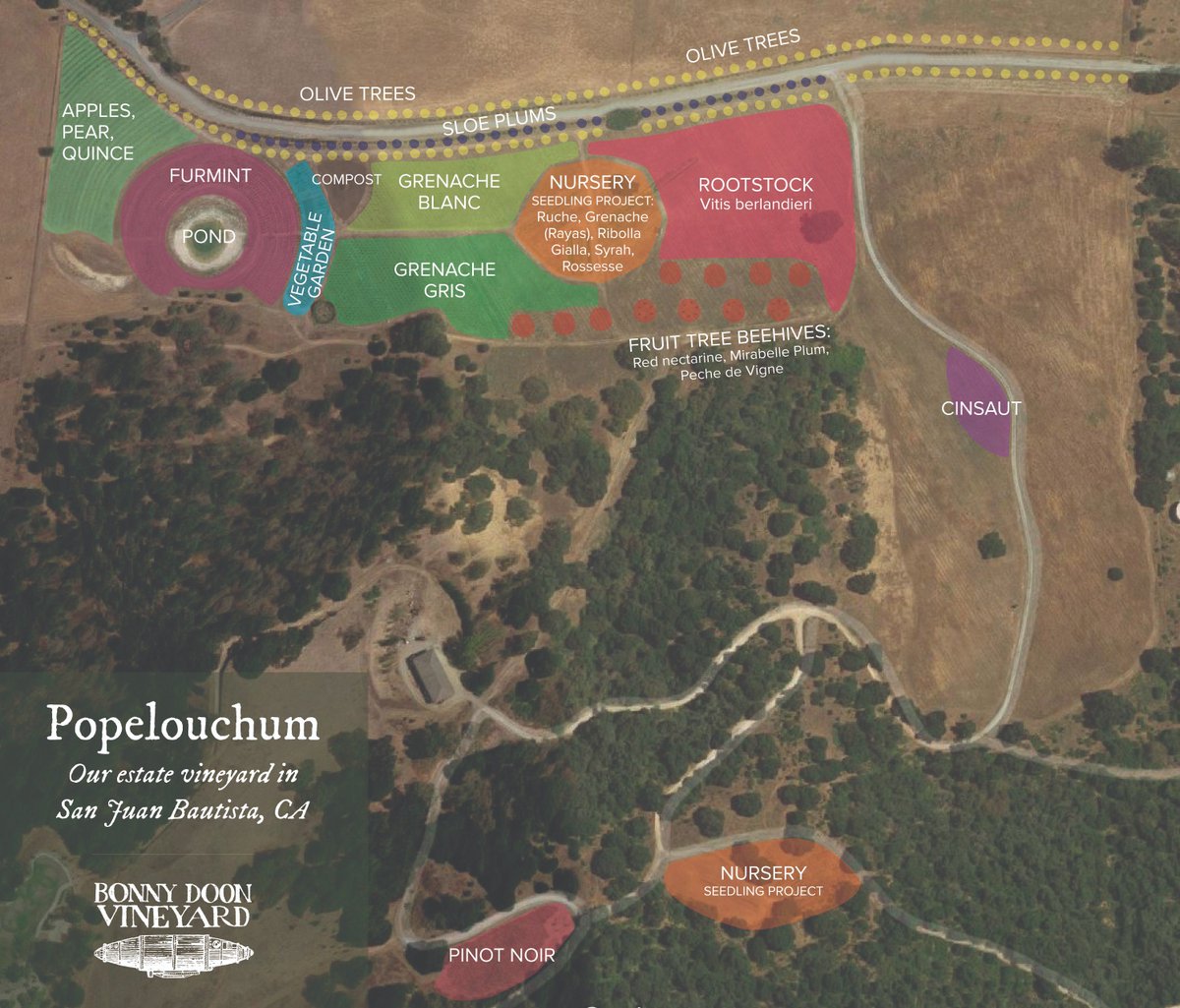 Popelouchum (@popelouchum) on Twitter photo 